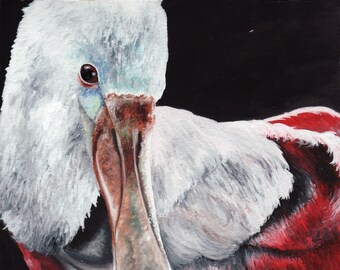 Spoonbill Signed and Numbered Matted Print