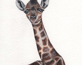 Baby Giraffe Signed and Numbered Matted Print