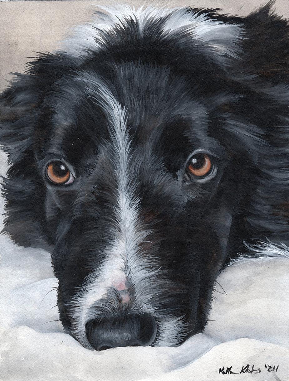 Custom Watercolor Pet Portrait | Dog & Cat Memorial Art - Etsy