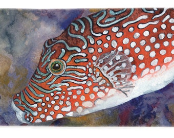 Trigger Fish Beach Towel