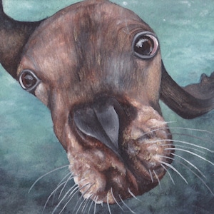 Original Sea Lion Watercolor Painting | Coastal Wall Art | Wildlife Art | Sealife Painting