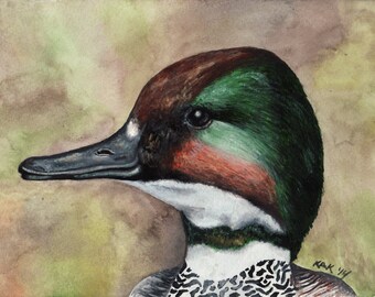 Limited Edition Print of Original Duck Watercolor Painting