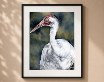Whooping Crane Art Print – Matted Wildlife Painting, Nature Decor