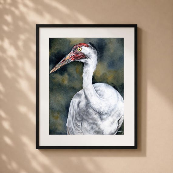 Whooping Crane Art Print – Matted Wildlife Painting, Nature Decor