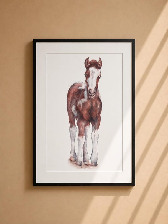 Baby Horse Print - Matted Nursery Wall Art (14x11)