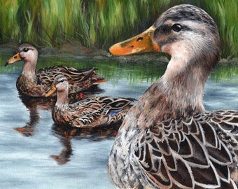 Mottled Duck Signed and Numbered Matted Print