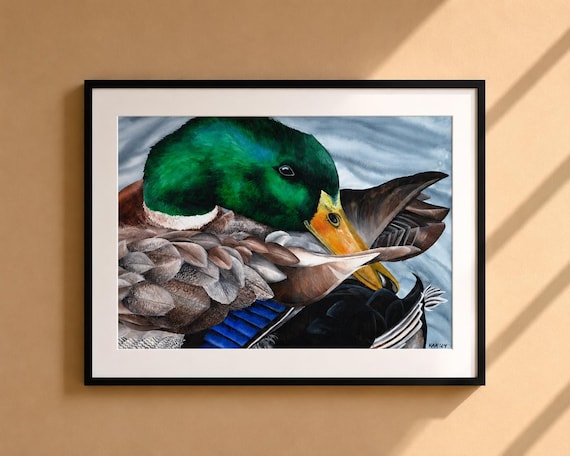 Mallard Duck Drake Painting - Matted Print | Wall Art | Wildlife Art