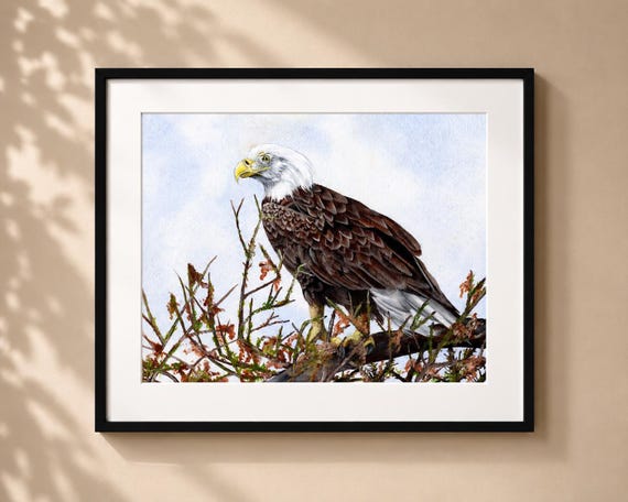 Majestic Bald Eagle Watercolor Painting - Matted Print