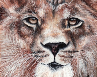 Limited Edition Print of Original Lion Watercolor Painting