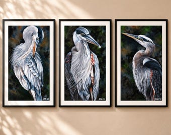 Great Blue Heron Art Prints (Set of 3) - Matted Wildlife Wall Decor