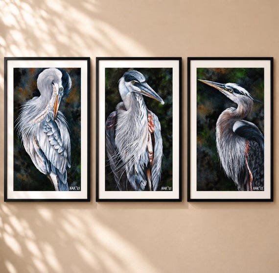 Great Blue Heron Art Prints (Set of 3) - Matted Wildlife Wall Decor