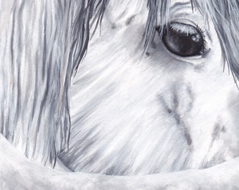 Limited Edition Print of Original Horse Watercolor Painting