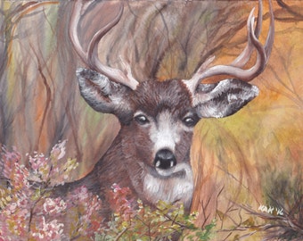 Limited Edition Print of Deer Watercolor Painting