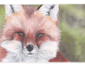 Fox Beach Towel