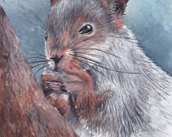 Limited Edition Print of Squirrel Watercolor Painting