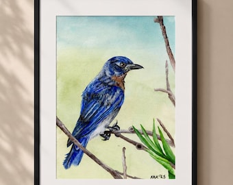 Bluebird Watercolor Painting – Matted Bird Lover Art Print