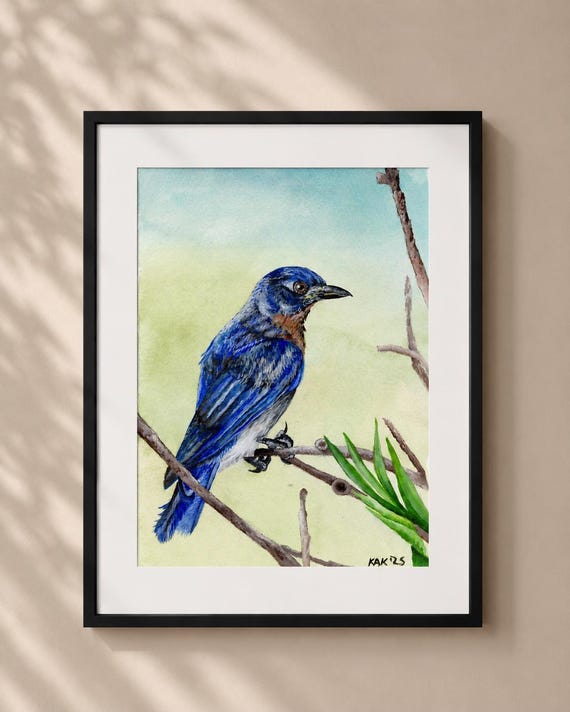 Bluebird Watercolor Painting – Matted Bird Lover Art Print