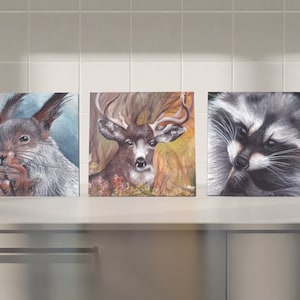 Könnte beinhalten: Drei gerahmte Tierbilder. Das erste Bild zeigt ein graues Eichhörnchen mit buschigem Schwanz, das zweite Bild zeigt ein braunes Reh mit Geweih und das dritte Bild zeigt einen grauen Waschbär.