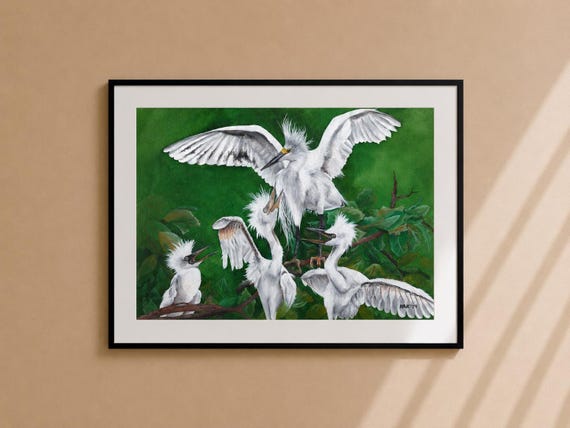 Family of Egrets Watercolor Painting - Matted Bird Art Print
