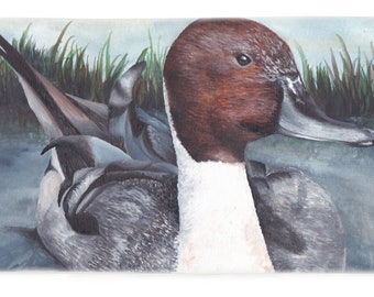 Pintail Duck Beach Towel