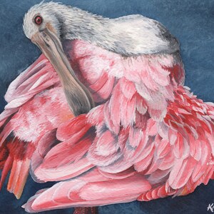 Spoonbill Signed and Numbered Matted Print image 1