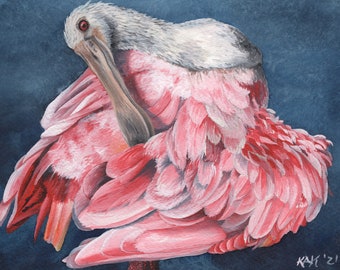 Spoonbill Signed and Numbered Matted Print