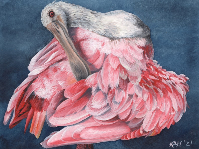 Spoonbill Signed and Numbered Matted Print image 1