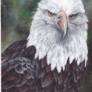 Original Eagle Watercolor Painting | Wildlife Art | Home Decor
