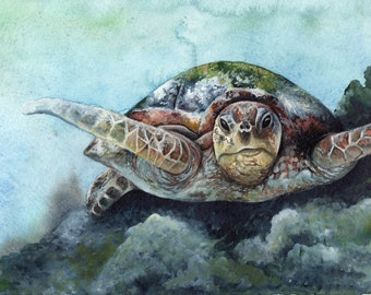 Sea Turtle Signed and Numbered Matted Print