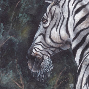 Original Zebra Watercolor Painting | Wall Art | Wildlife Art