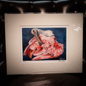 Spoonbill Signed and Numbered Matted Print image 2
