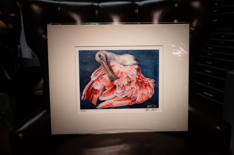 Spoonbill Signed and Numbered Matted Print image 2