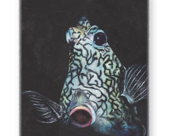 Fleece Blanket: Fish