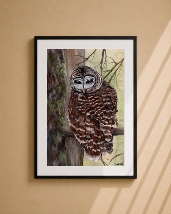 Barred Owl Matted Print – Signed Wildlife Art, Bird Lover Gift