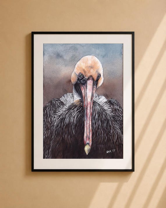 Resting Pelican Watercolor Painting - Matted Print | Wildlife Art | Wall Art | Nature Home Decor