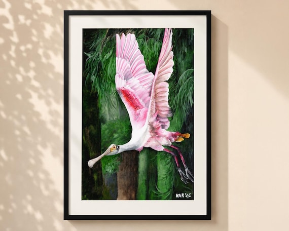 Roseate Spoonbill - Matted Print | Wall Art | Wildlife Art | Nature Decor | Bird Lover Gift