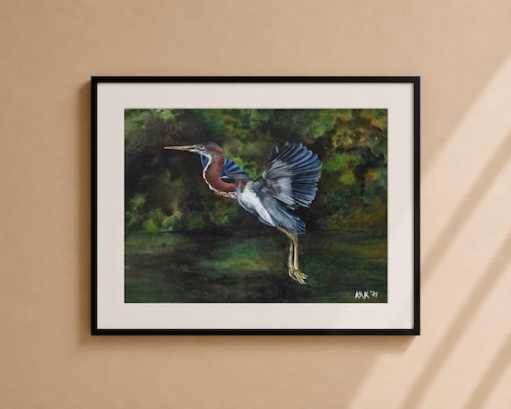 Tri-Color Heron Watercolor Painting – Matted Wildlife Art Print