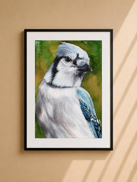 Blue Jay Print - Matted Wildlife Art, Nature Home Decor