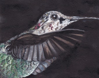 Limited Edition Print of Original Hummingbird Watercolor Painting