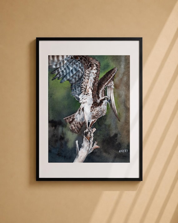 Osprey Watercolor Painting – Matted Bird of Prey Art Print