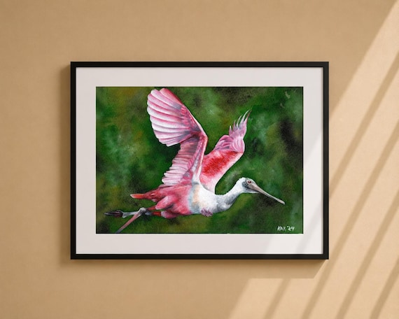 Majestic Flying Spoonbill Watercolor - Matted Print