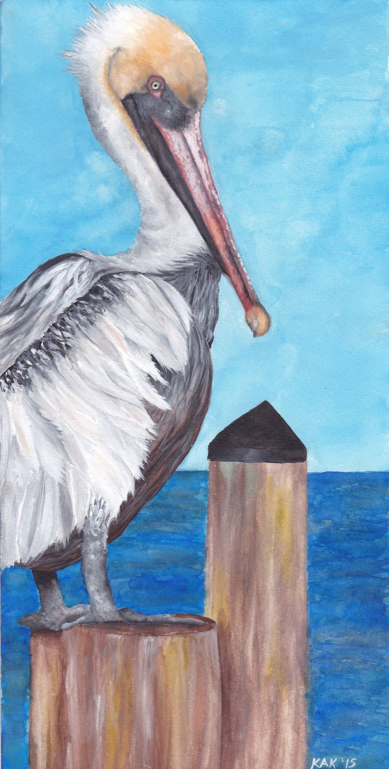 Pelican 1 of 3 Signed and Numbered Matted Print image 1