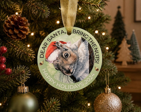 30% OFF! Ornament - 2024 Squirrel