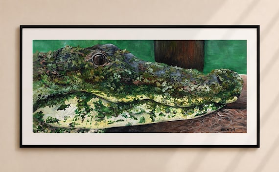 Alligator in Algae Painting - Matted Print