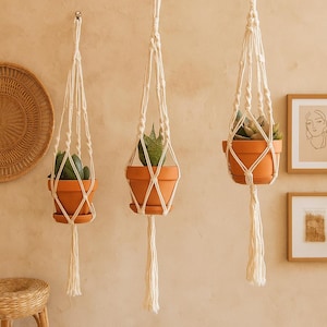 Pode incluir: Três suportes de plantas suspensos em macramé com vasos de terracota, cada um contendo uma suculenta verde. O macramé branco sujo tem um padrão de diamante e uma longa borla. Os vasos estão suspensos contra uma parede de tom neutro.