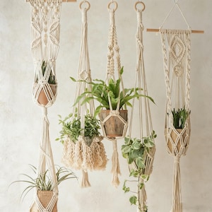 May include: A collection of handmade macrame plant hangers in various designs. Each cream-colored hanger holds a potted plant, showcasing a bohemian aesthetic. The hangers are suspended from wooden dowels and rings, creating a natural, textured display.