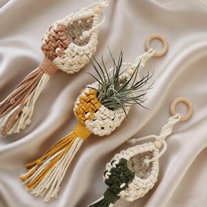 May include: Three macrame plant hangers in cream, brown, yellow, and green. Each features a woven basket design with a tassel and wooden ring for hanging. One contains a plant with long green leaves.