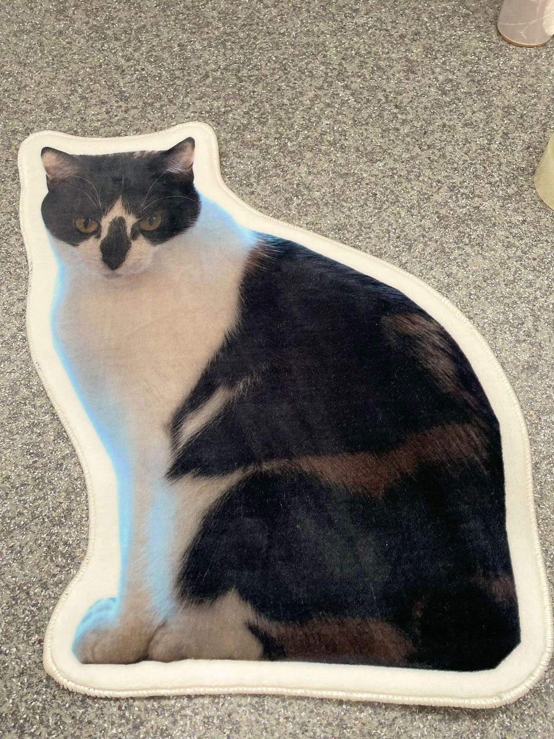 Tabbycat Rugs Tabby Cat Rug: Custom Pet Portrait Rug, Kids Room Decor - Etsy
