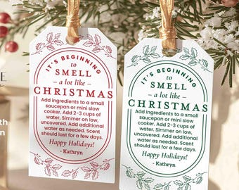 Christmas Potpourri Gift Tag | Simmer Pot Stovetop Potpourri Holiday Scents | Teacher Gift, Neighbor Gift, PRINTABLE DIY Editable Template