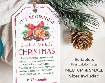 Puede incluir: Una etiqueta de regalo navideña con el texto "It's Beginning to Smell A Lot Like Christmas". La etiqueta presenta un diseño de acuarela con palitos de canela, una rodaja de naranja y un lazo rojo. La etiqueta está atada a un regalo envuelto.